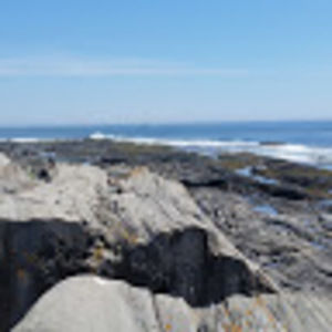 Meet your Posher, Nicholas